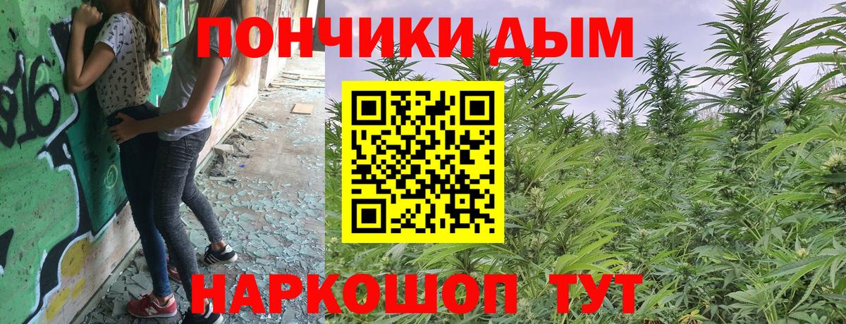 Жигулёвск  Конопля THC 21%  Марихуана SATIVA & INDICA  Конопля ГИДРОПОН  Вход с VPN 